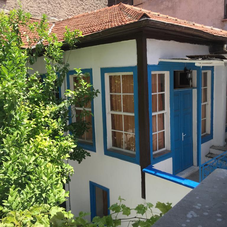 Hostel Findik *